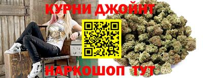 гашик Будённовск