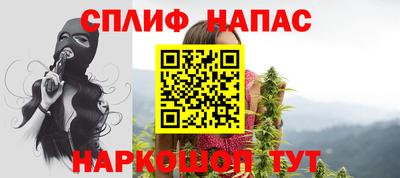 гашик Будённовск