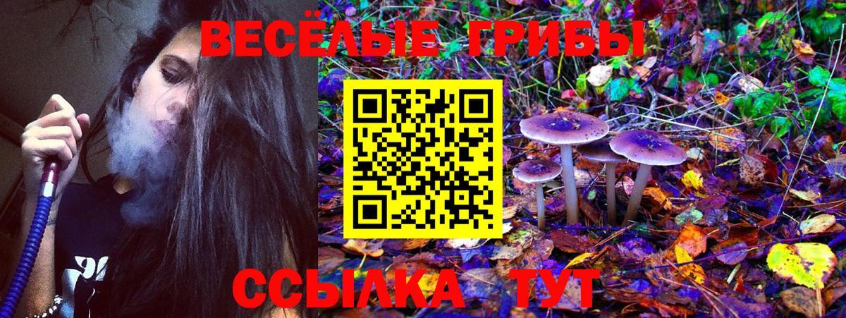 Псилоцибиновые грибы ЛСД Ликино-Дулёво