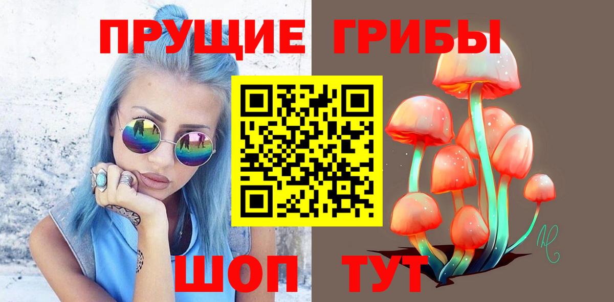 Галлюциногенные грибы прущие грибы  Псилоцибиновые грибы прущие грибы  Ликино-Дулёво  Вход с VPN 